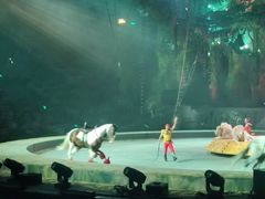 -珠海横琴长隆《卡卡虎奇遇记》