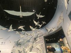 -中国湿地博物馆