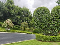 -东莞植物园