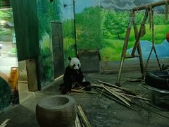 -柳州市动物园