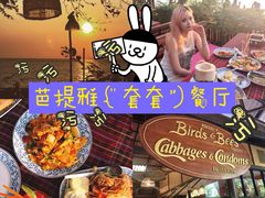 -卷心菜和避孕套餐厅(Pattaya)