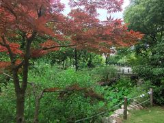 -瀛洲公园