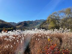 -玉渡山自然风景区
