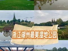 -长田漾湿地公园