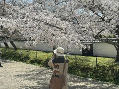 -醍醐寺