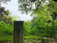 -石峰公园