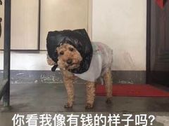 -绅士餐厅龙虾·烧烤(西门路店)