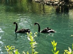 -长白岛森林公园