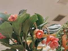 -第六季自助餐厅(北太平庄店)