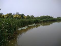 -西青郊野公园