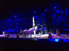 -cavalia·舞马