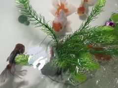 -南昌融创海世界