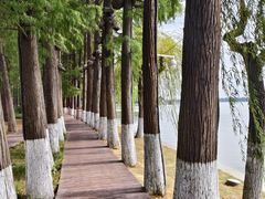 -东湖听涛景区