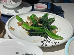 -点都德·毕德寮