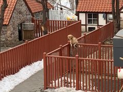 -北京市海淀外国语实验学校