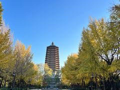 -玲珑塔公园