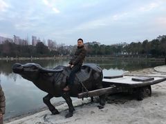 石牛及园内风景-紫薇公园