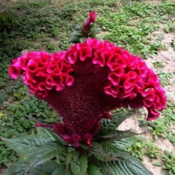 -Oasis Beauty水磨坊科技美肤中心