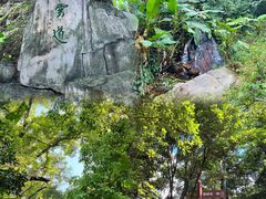 -梧桐山风景名胜区