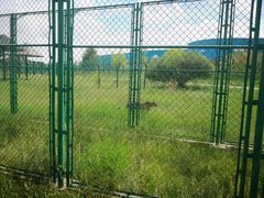 -鄂尔多斯野生动物园