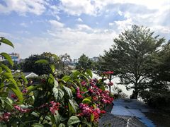 -顺德了能馆(虎门店)