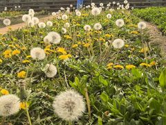 -天毓山庄·餐厅