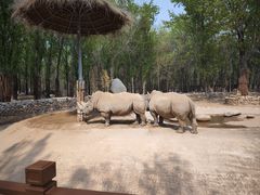 -北京野生动物园