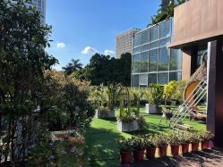 -东莞缔美美容医院