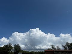 -北海金海湾红树林生态旅游区