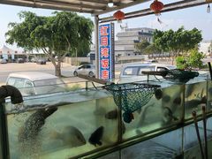 -红月湾海鲜饭店•沙滩海景(双月湾店)