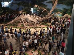 -自贡恐龙博物馆