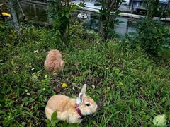 -塔川景区