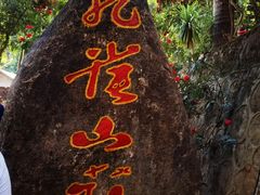 -西双版纳原始森林公园