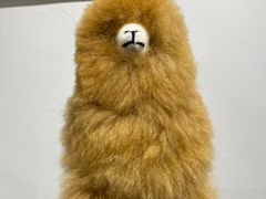 -DK45丹麦家居生活馆·依诺维绅(798店)