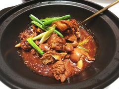 红烧东山羊肉煲-金色艳阳天•粤菜 淮扬菜(古平岗店)