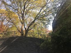 -南京市无想山景区