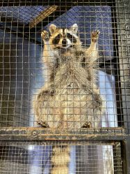 -酷嗒动物文化乐园(cutezoo西溪乐天城店)