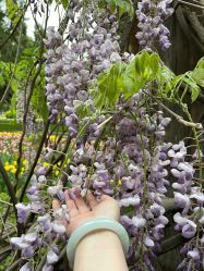 -北京七彩云南翡翠珠宝旗舰店(月坛店)