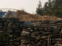 -仙海旅游度假区