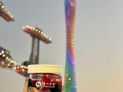 -海心沙亚运公园