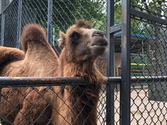 -荆州中山公园动物园