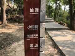 -梧桐山风景名胜区