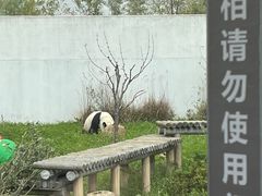 -苏州太湖国家湿地公园