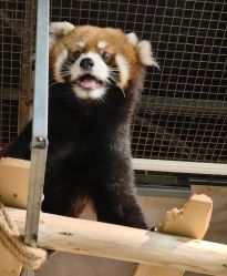 -Zoolung Zoolung动物主题公园(海信广场店)