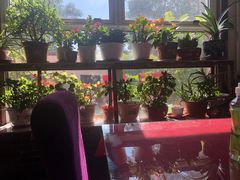 -北京龙庆四季香农家饭庄·灶台鱼·碳烤虹鳟鱼(龙庆峡店)