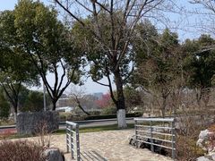 -羊山湖公园