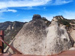 -大岭沟猕猴桃谷风景区