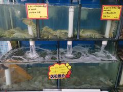 水产区-蚝专家(北滘店)