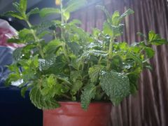 -艾加柒克蛋糕茶歇甜品台(春熙路店)