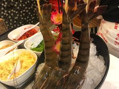 -鲜入围煮花胶鸡海鲜火锅